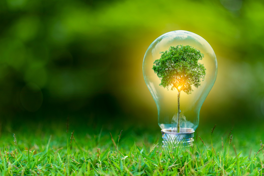 Energia verde simbolizada com lâmpada e árvore